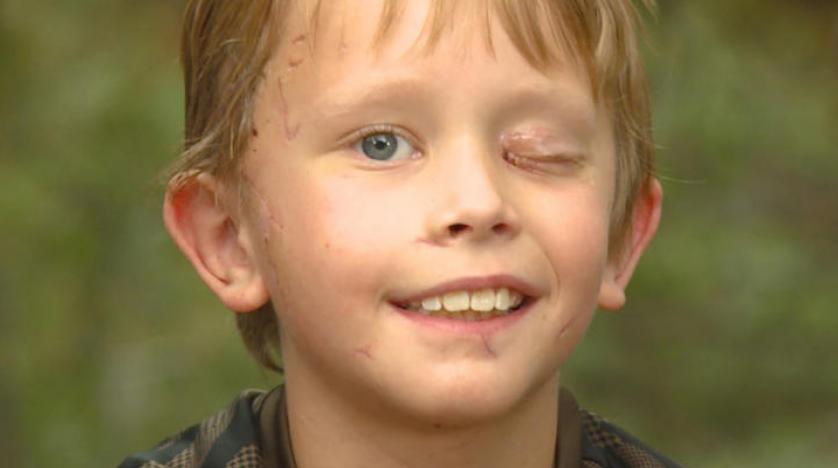 بايك والأسد