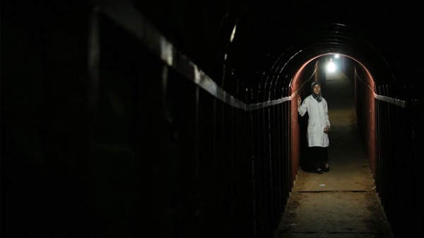 فيلم الكهف تورنتو