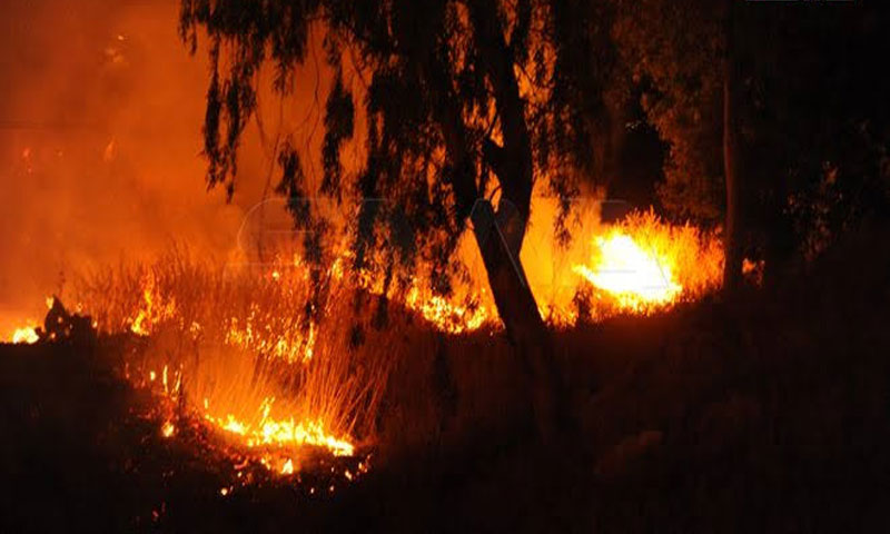 14 حريقاً في اللاذقية بيوم واحد منها 8&nbsp;بالقرداحة