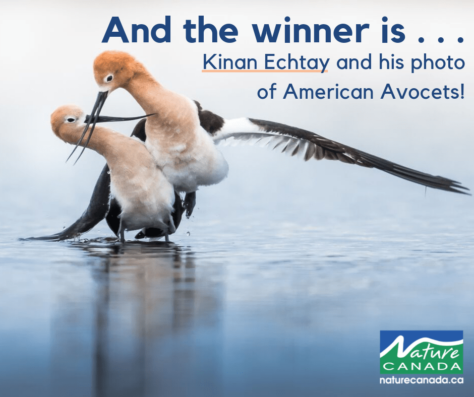 صور الطبيعة كندا Nature Canada