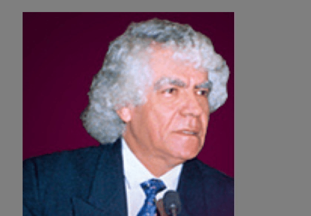 خالد محي الدين&nbsp;البرادعي