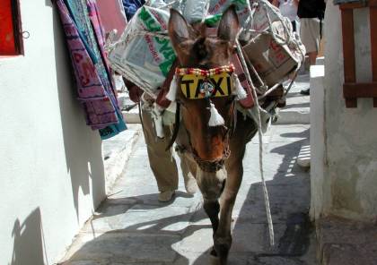 تحديد الوزن الأقصى لراكبي “تاكسي الحمير” في&nbsp;إسبانيا