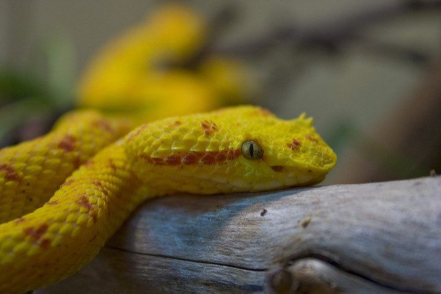 مناطق ممنوع زيارتها