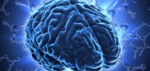 كيف يؤثر تعلّم اللغة الثانية على صحة&nbsp;دماغك