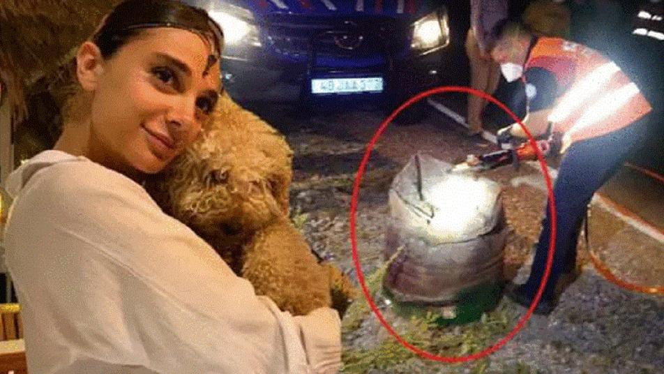 تعليق غير لائق من شاب سوري على مقتل فتاة تركية يثير&nbsp;الغضب